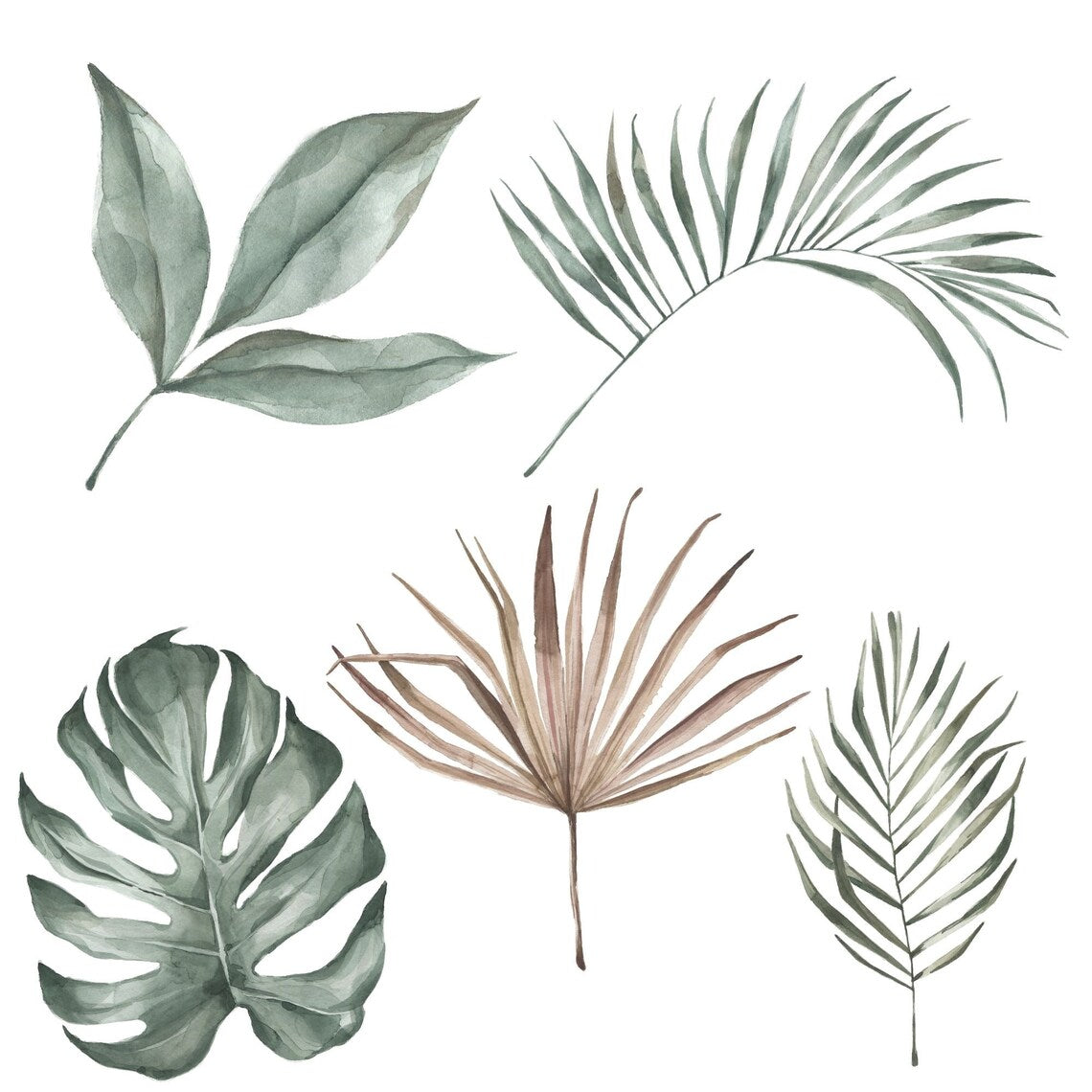 Safari Wall Stickers