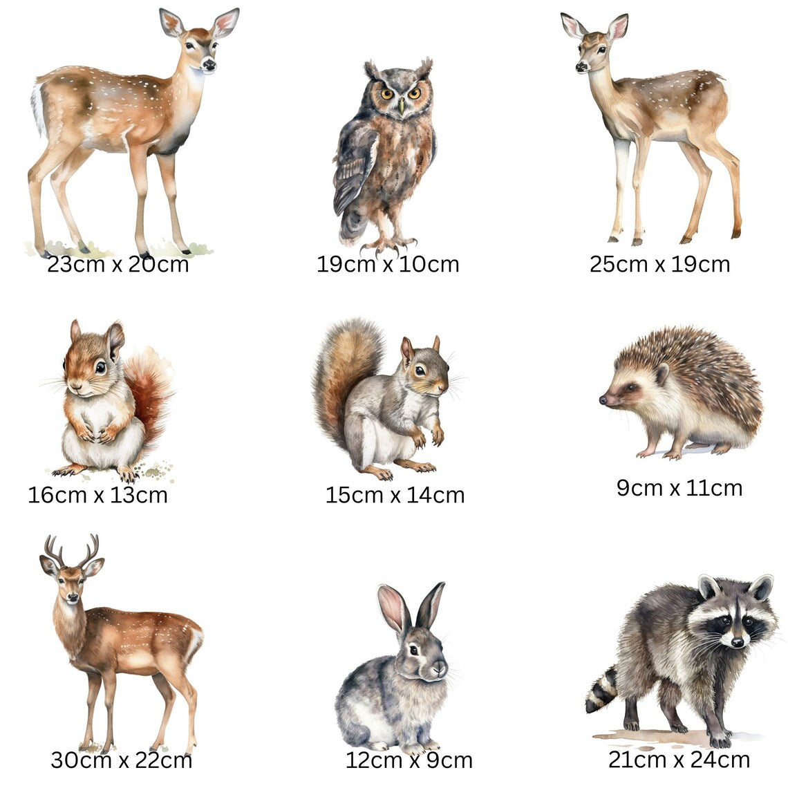 Woodland Wall Decals