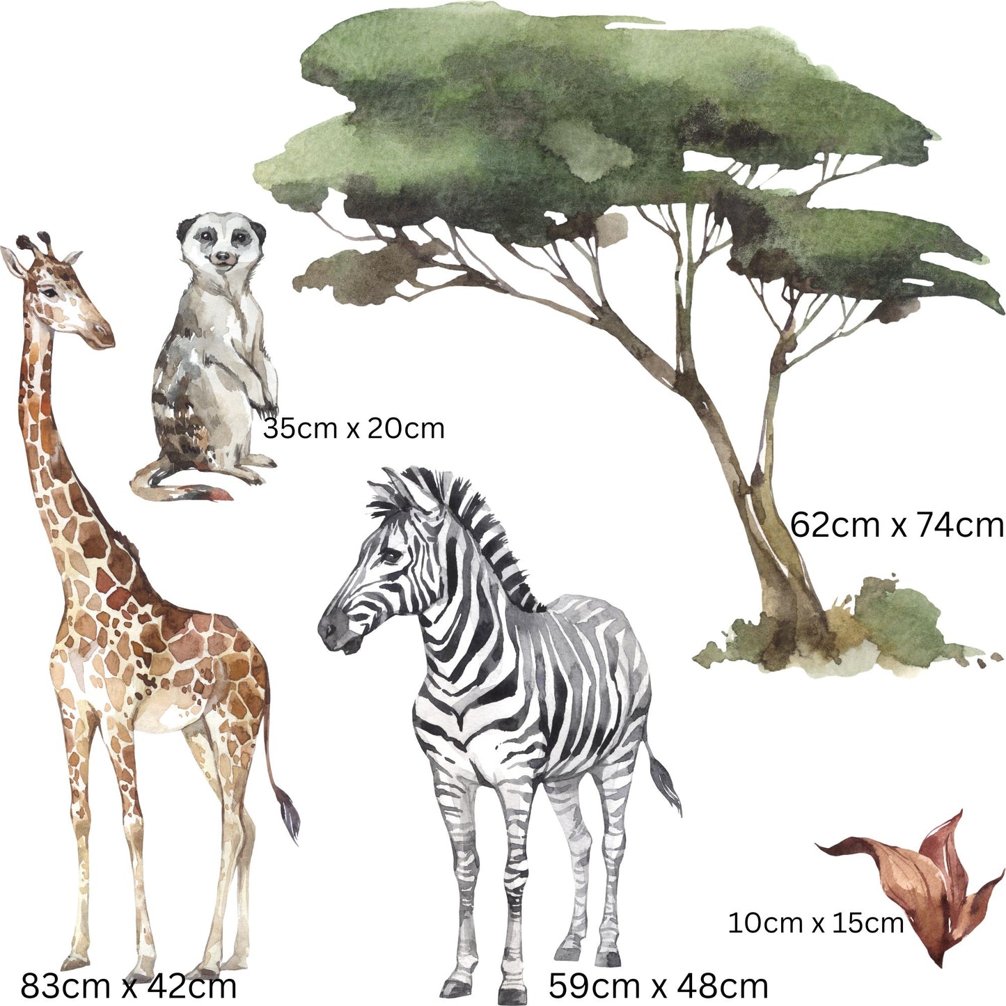 62cm x 74cm